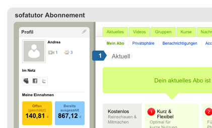 Wo sehe ich die Einnahmen?